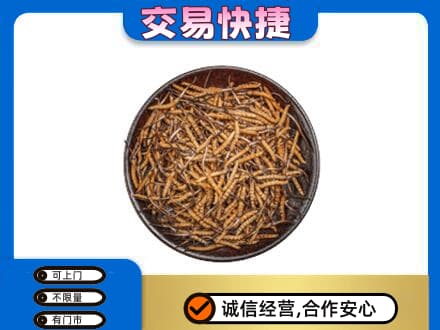 乐山市五通桥回收散虫草